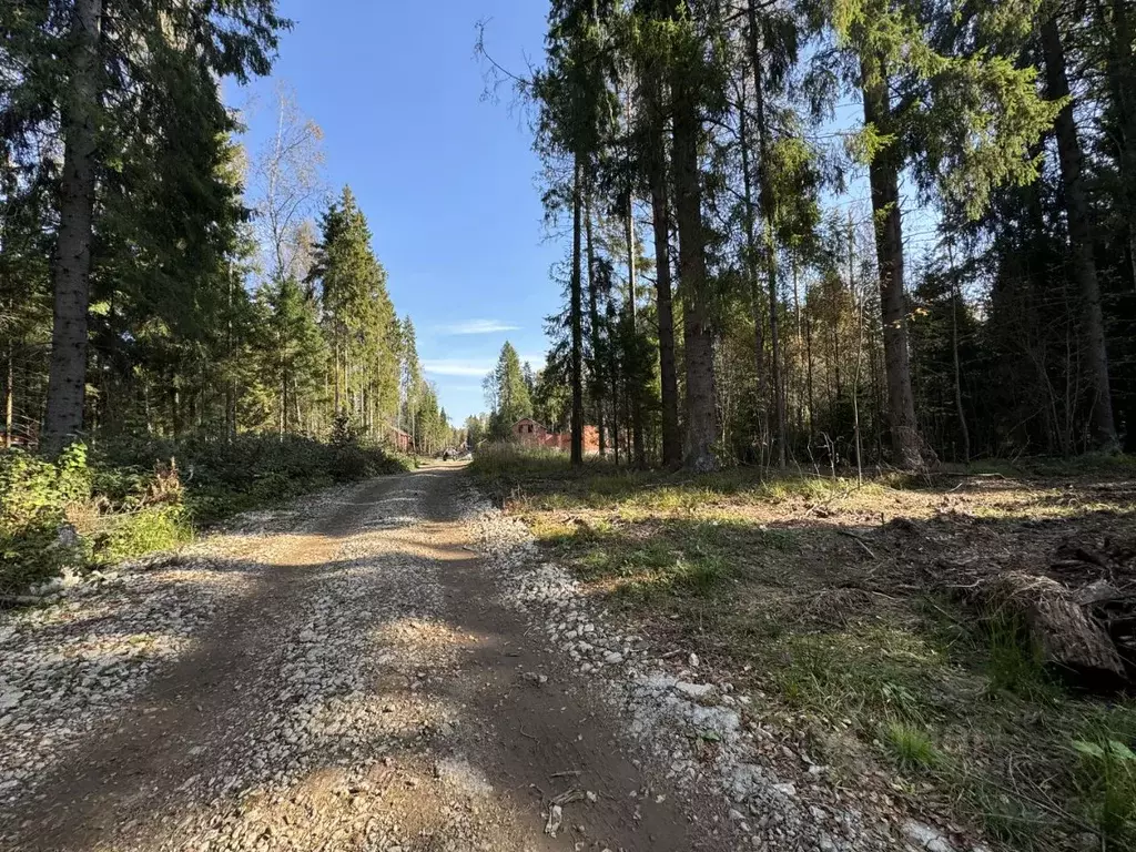 Участок в Московская область, Солнечногорск городской округ, Остров в ... - Фото 1