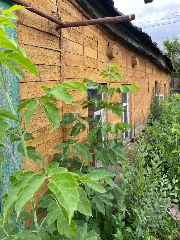 Дом в Оренбургская область, Сорочинск Московская ул., 79 (31 м) - Фото 1