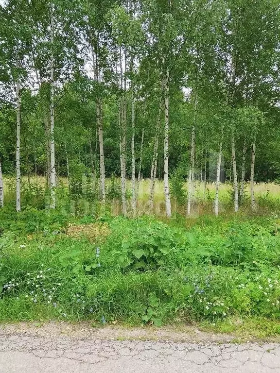 Дом в Нижегородская область, Нижний Новгород Шлиссельбургская ул., 8 ... - Фото 1