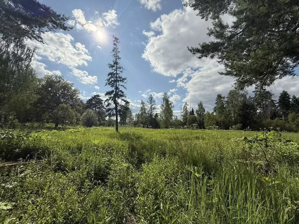 Участок в Московская область, Рузский муниципальный округ, Тучково пгт ... - Фото 1