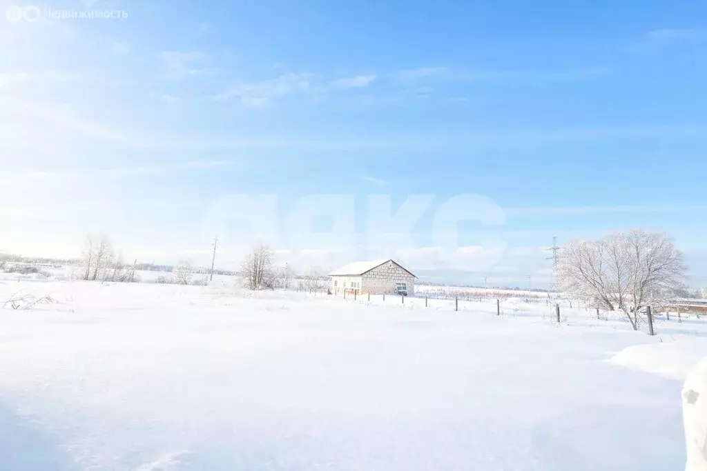 Участок в Московская область, Раменский муниципальный округ, деревня ... - Фото 2