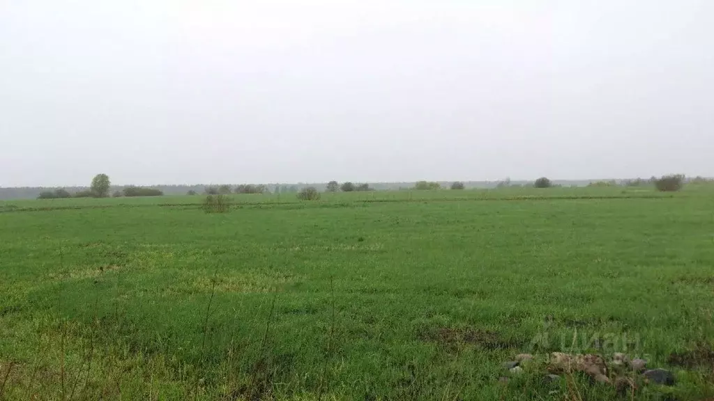 Участок в Новгородская область, Чудовский район, Трегубовское с/пос  ... - Фото 2