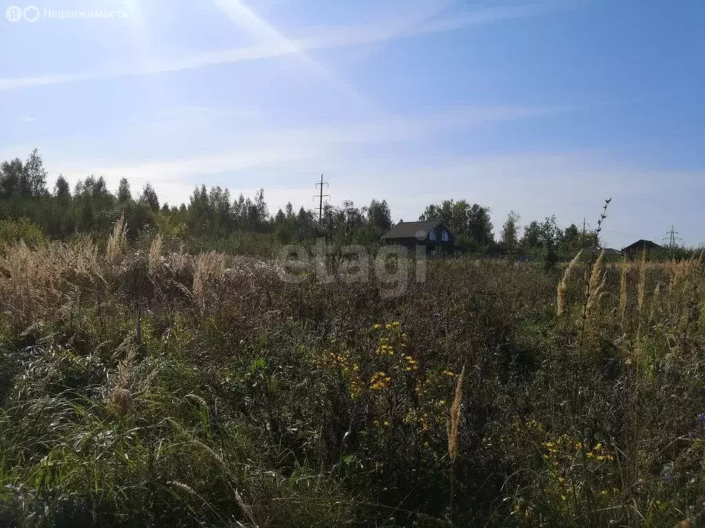 Участок в Владимирская область, округ Муром, деревня Александровка (6 ... - Фото 1