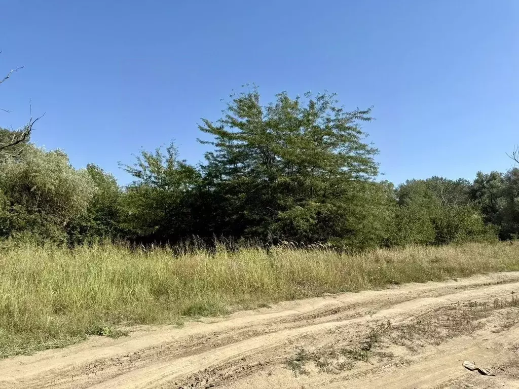 Участок в Адыгея, Теучежский район, Тлюстенхабльское городское ... - Фото 2