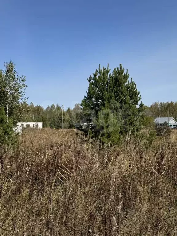 Участок 10 сот. (ИЖС) - Фото 0