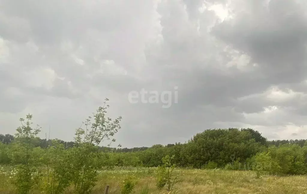 Участок в Белгородская область, Старооскольский городской округ, с. ... - Фото 1