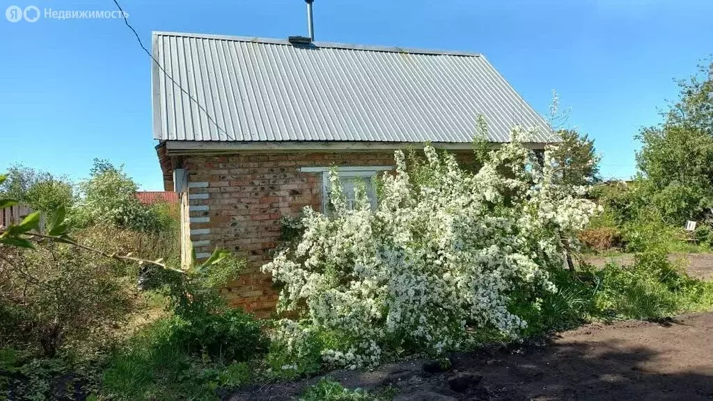 Участок в Омск, садоводческое некоммерческое товарищество ... - Фото 2