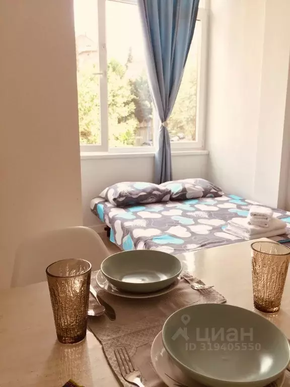 Студия Краснодарский край, Сочи Виноградная ул. (23.0 м) - Фото 1