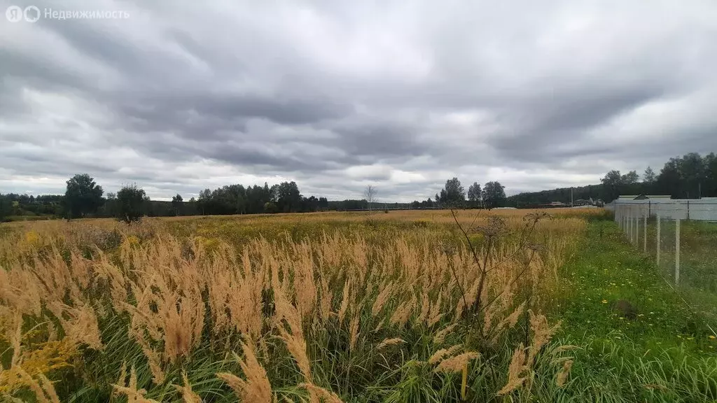 Участок в Тульская область, городской округ Тула, деревня Страхово (29 ... - Фото 1