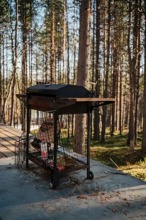 Дом в Мурманская область, Мурманск  (30 м) - Фото 2