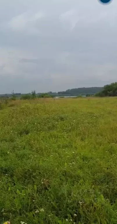 Участок в Новгородская область, Шимское городское поселение, д. Старый ... - Фото 1