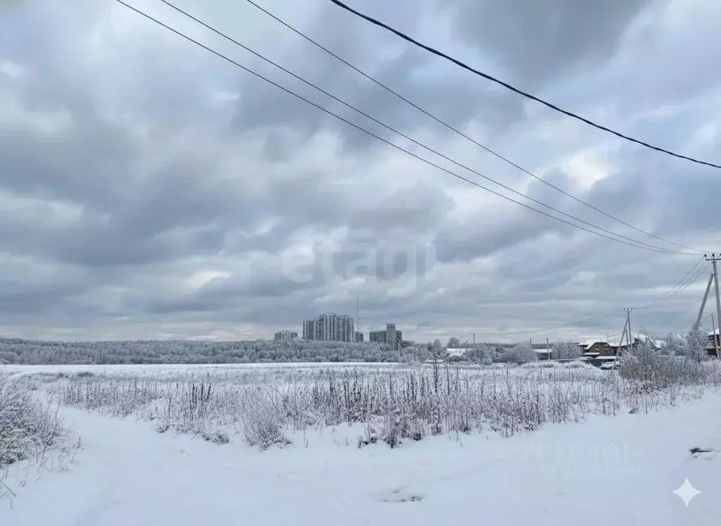 Участок в Калужская область, Боровский муниципальный округ, Кривское ... - Фото 1