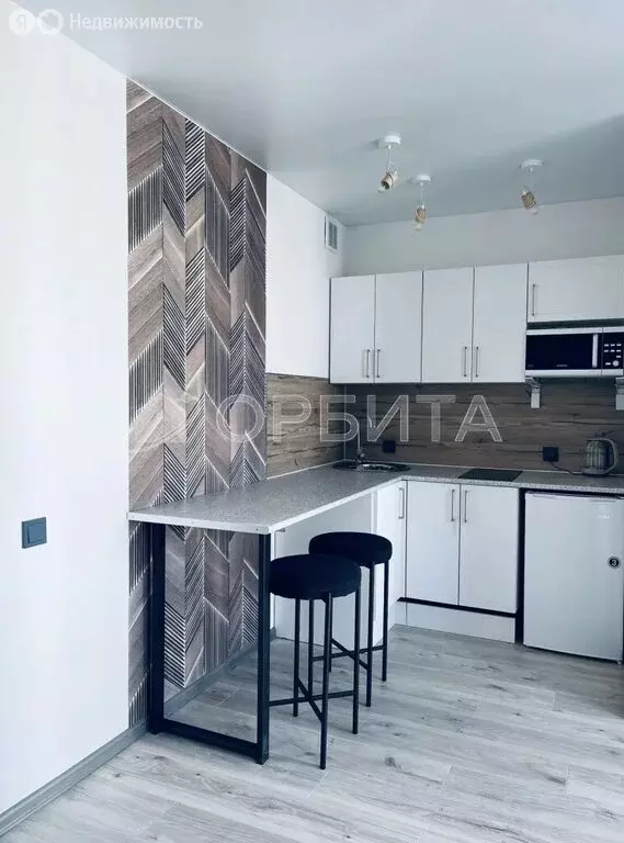 Квартира-студия: деревня Патрушева, улица Петра Ершова, 10 (24.8 м) - Фото 1