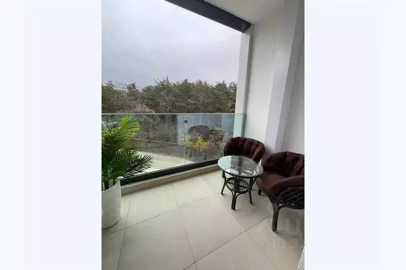 1-к кв. Крым, Ялта ул. Войкова, 39Ак2 (29.0 м) - Фото 2