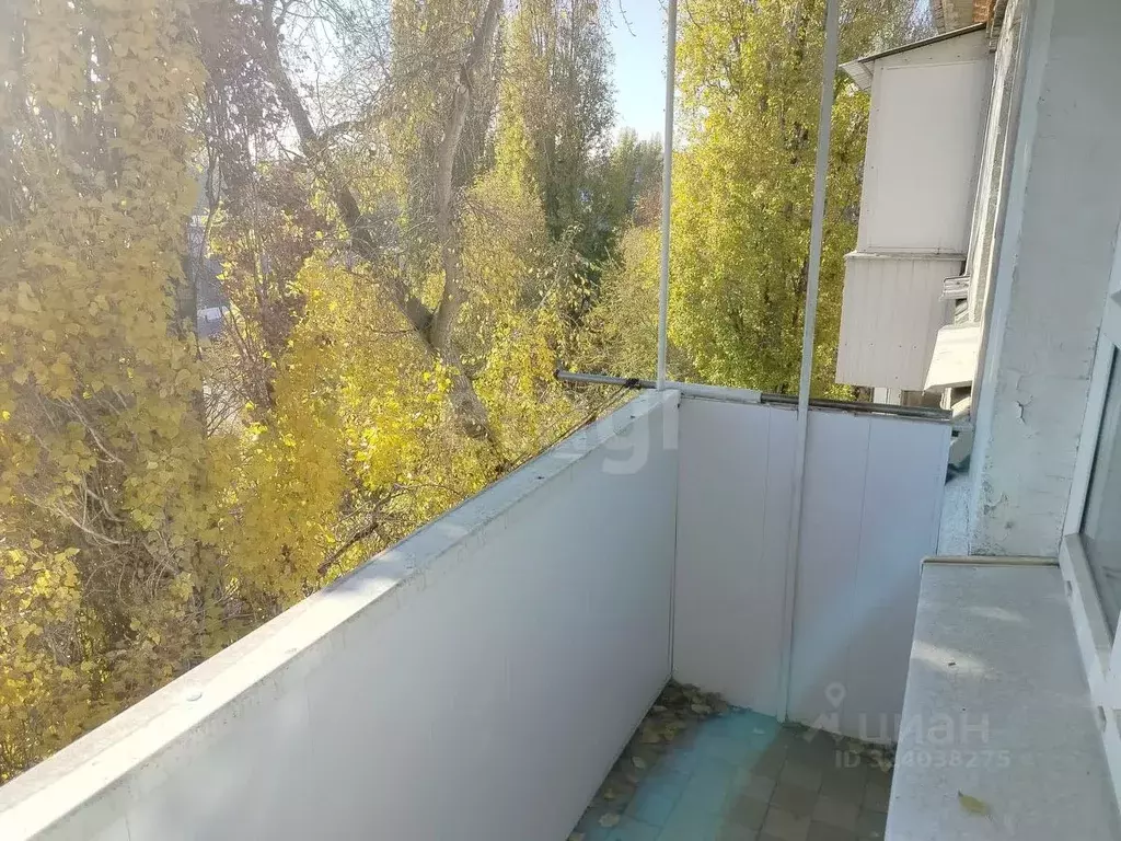 1-к кв. Саратовская область, Саратов Крымский проезд, 12 (31.0 м) - Фото 2