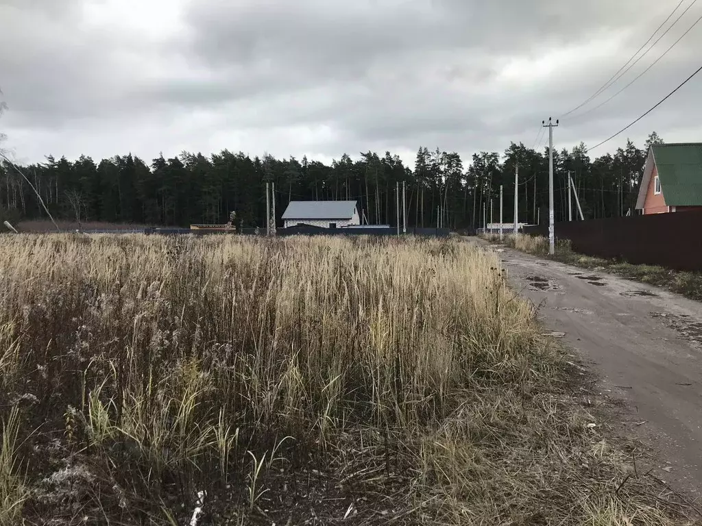 Участок в Московская область, Щелково городской округ, Отрада СНТ 2 ... - Фото 0