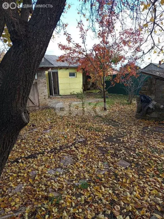 Дом в Рассветовское сельское поселение, посёлок Мускатный, Виноградная ... - Фото 1