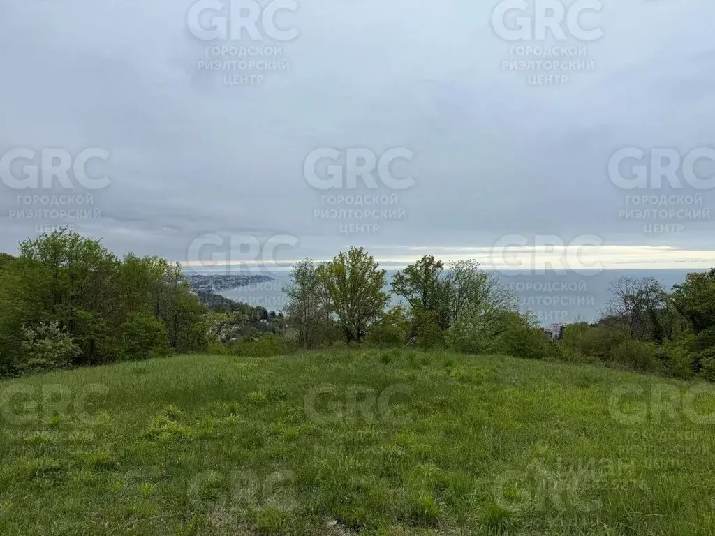Участок в Краснодарский край, Сочи ул. Ручей Видный (208.0 сот.) - Фото 1