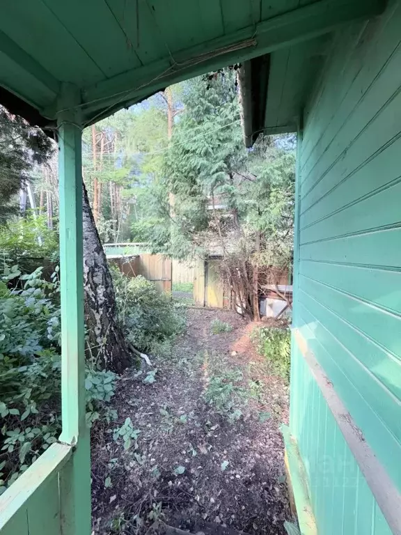 Участок в Московская область, Одинцовский городской округ, с. Дубки, ... - Фото 1