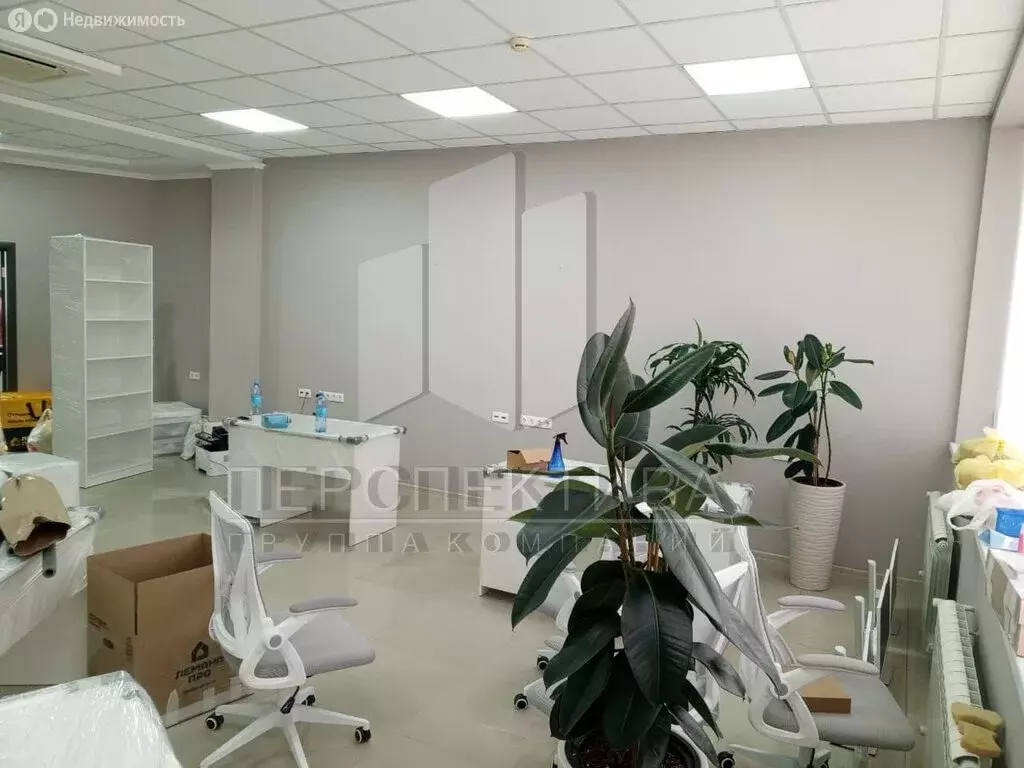 Офис (56 м) - Фото 1