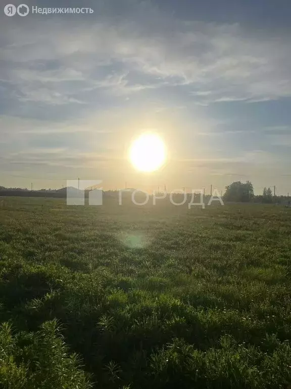 Участок в Новосибирский район, Морской сельсовет (9.1 м) - Фото 1