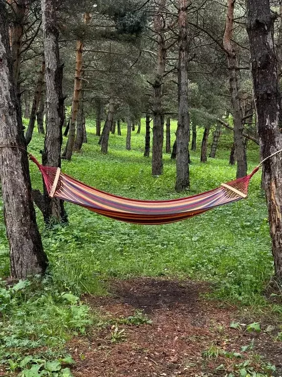 Комната Дагестан, Ботлихский сельсовет, с. Ботлих 10 - Фото 2