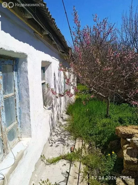 Участок в Республика Крым, посёлок городского типа Черноморское (7.66 ... - Фото 1