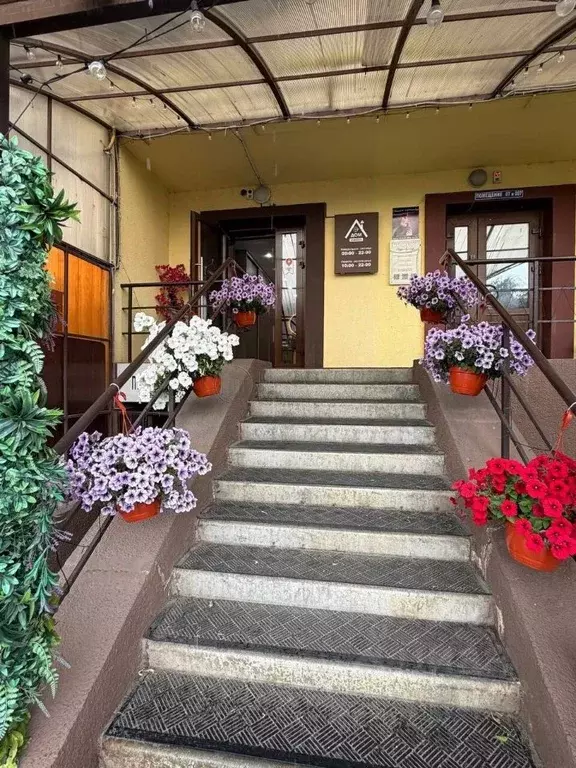 Торговая площадь в Московская область, Домодедово Центральный мкр, ул. ... - Фото 1