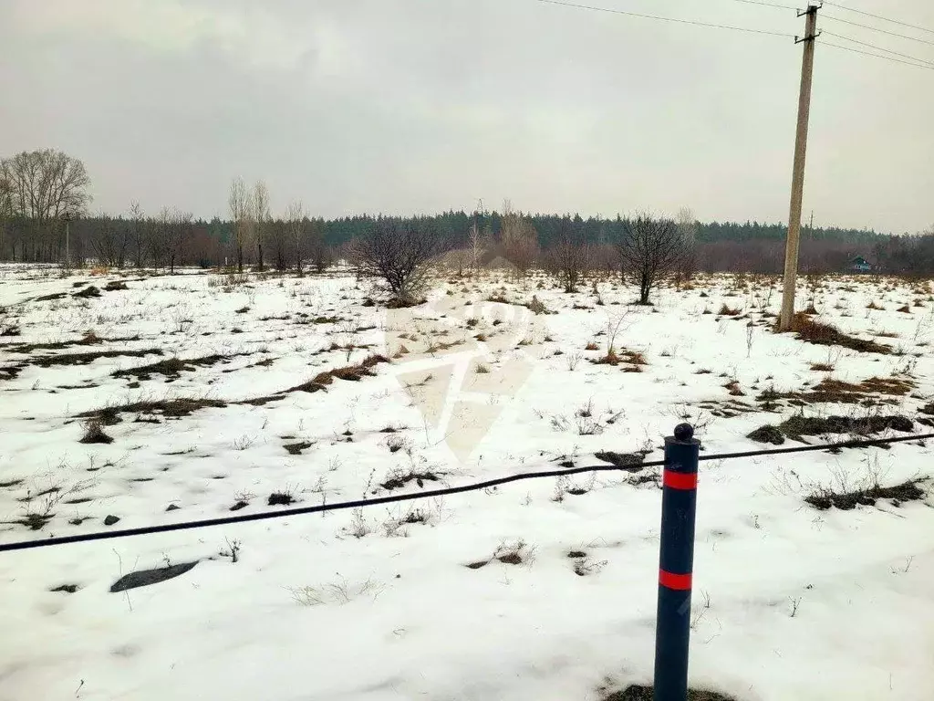 Участок в Белгородская область, Старооскольский городской округ, с. ... - Фото 1