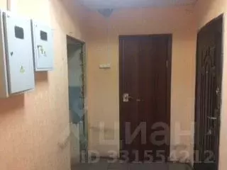 Помещение свободного назначения в Новгородская область, Сольцы г. ... - Фото 2