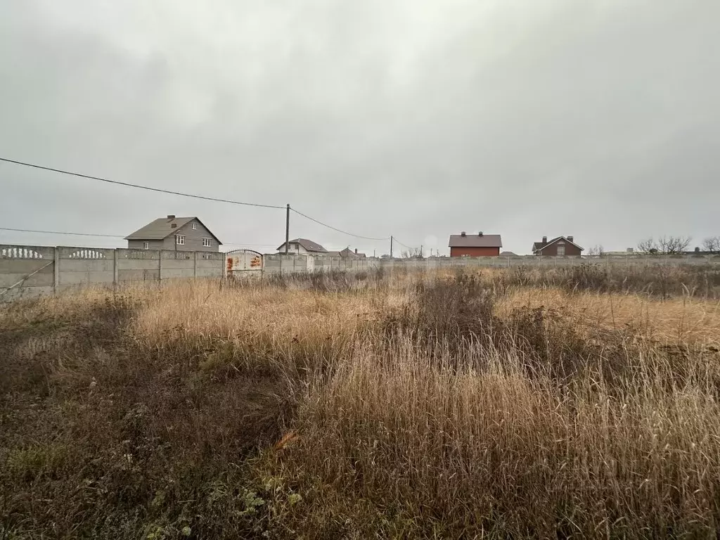 Участок в Белгородская область, Белгородский район, Комсомольское ... - Фото 2