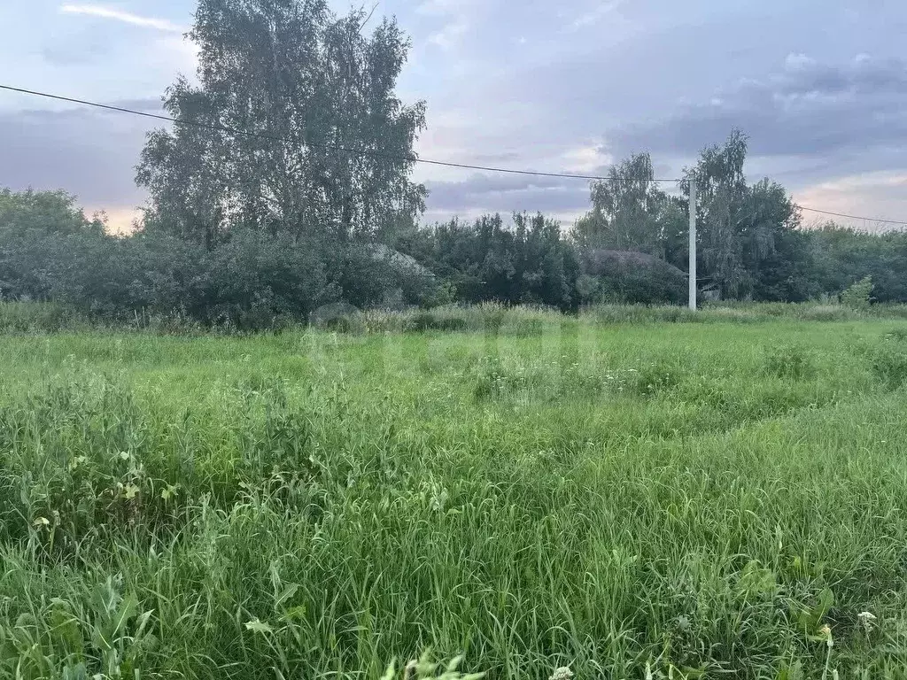 Участок в Воронежская область, Рамонский район, Русскогвоздевское ... - Фото 1