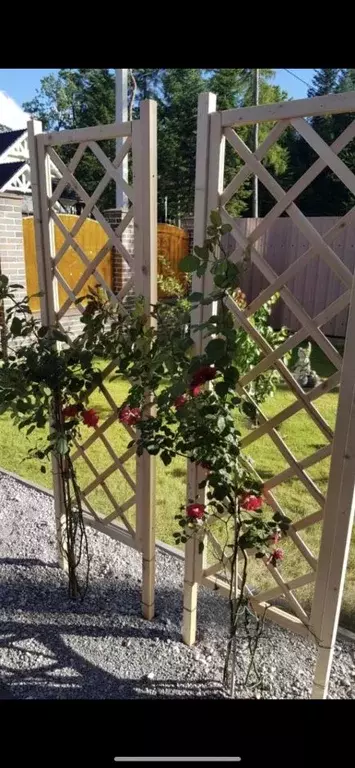 Дом в Калининградская область, Светлогорск пер. Кедровый, 4 (396 м) - Фото 2