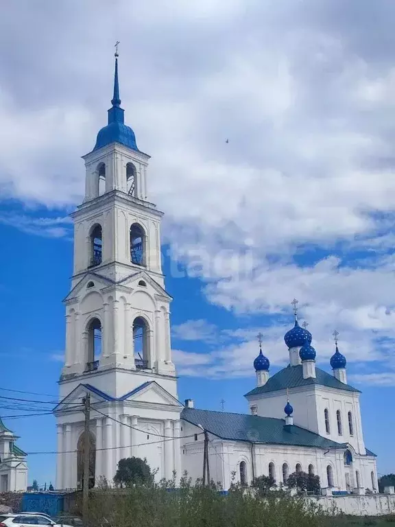 Участок в Ярославская область, Некрасовский муниципальный округ, с. ... - Фото 0
