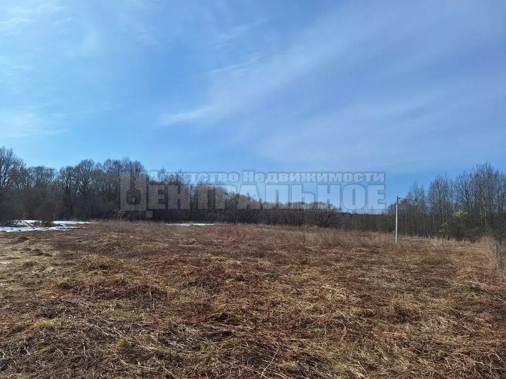 Участок в Смоленская область, Смоленский муниципальный округ, д. Дрюцк ... - Фото 1