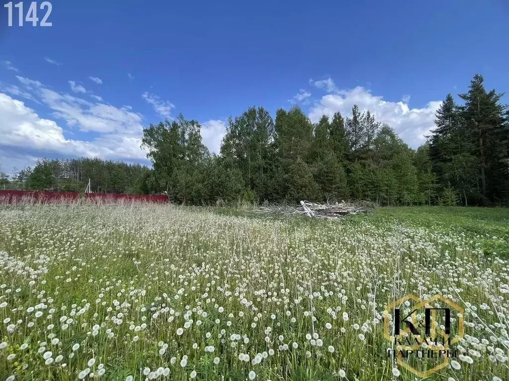 Участок в Свердловская область, Полевской муниципальный округ, с. ... - Фото 2