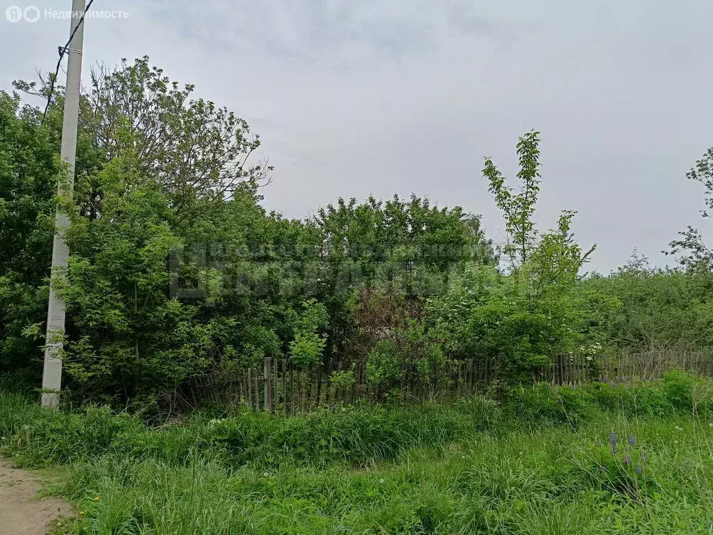 Участок в Смоленск, садовое некоммерческое товарищество Кооператор, 28 ... - Фото 0