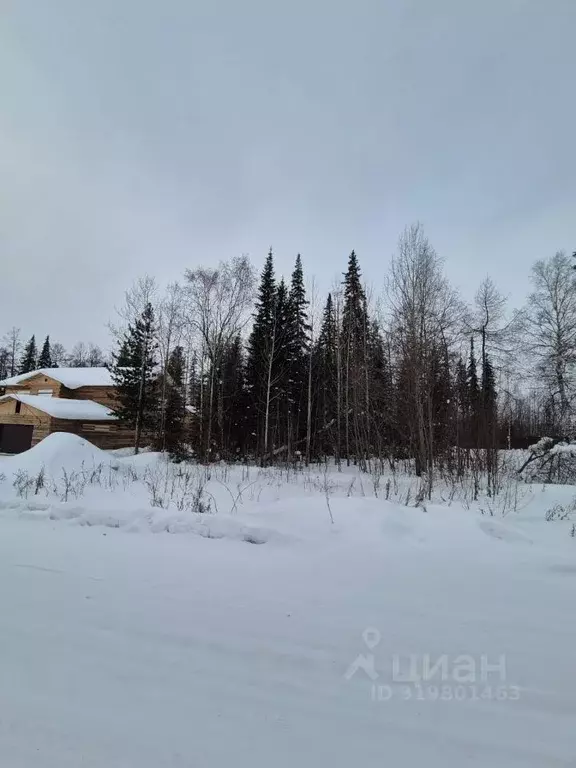Участок в Иркутская область, Усть-Илимск ул. Ровесников (15.0 сот.) - Фото 1