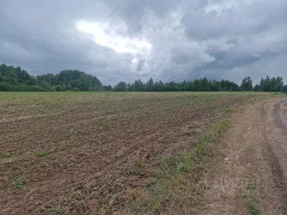 Участок в Московская область, Ступино городской округ, д. Чиркино  ... - Фото 1