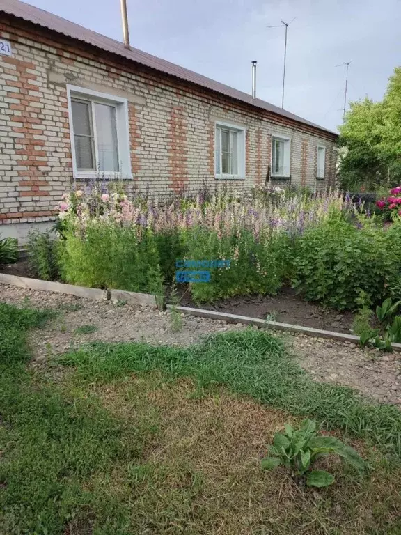 Дом в Алтайский край, Бийский район, с. Енисейское ул. Мира, 2 (49 м) - Фото 1