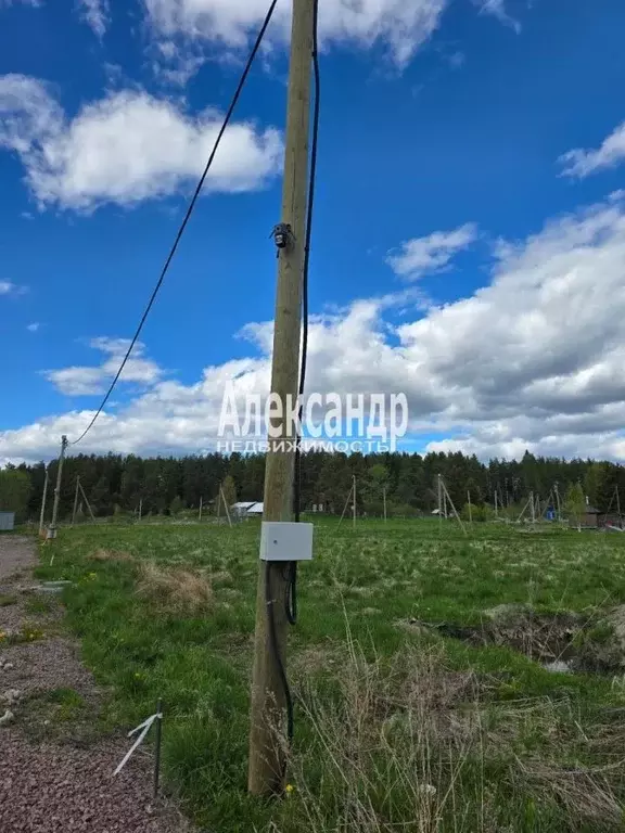 Участок в Ленинградская область, Приозерский район, Мельниковское ... - Фото 1