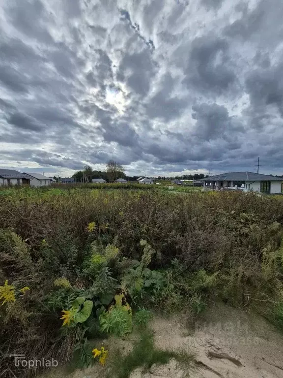 Участок в Калининградская область, Гурьевский муниципальный округ, ... - Фото 1