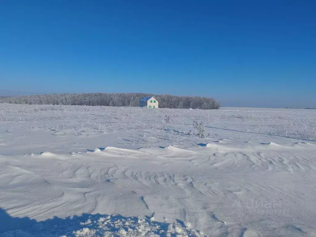 Участок в Московская область, Зарайск Зарайск муниципальный округ, ул. ... - Фото 1