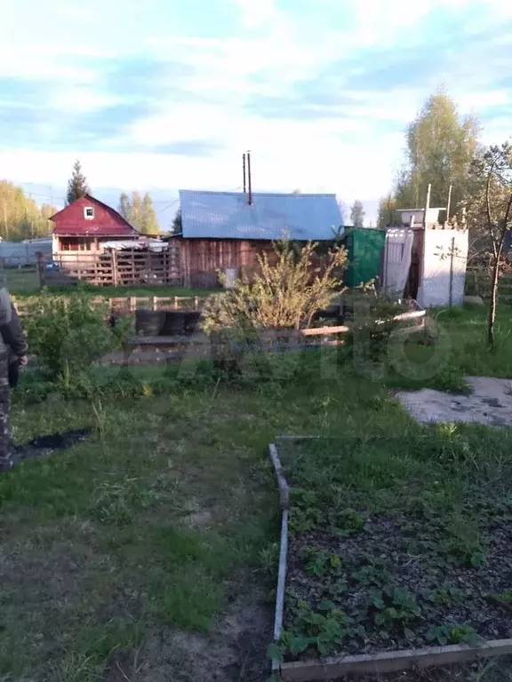Участок 6 сот. (СНТ, ДНП) - Фото 0