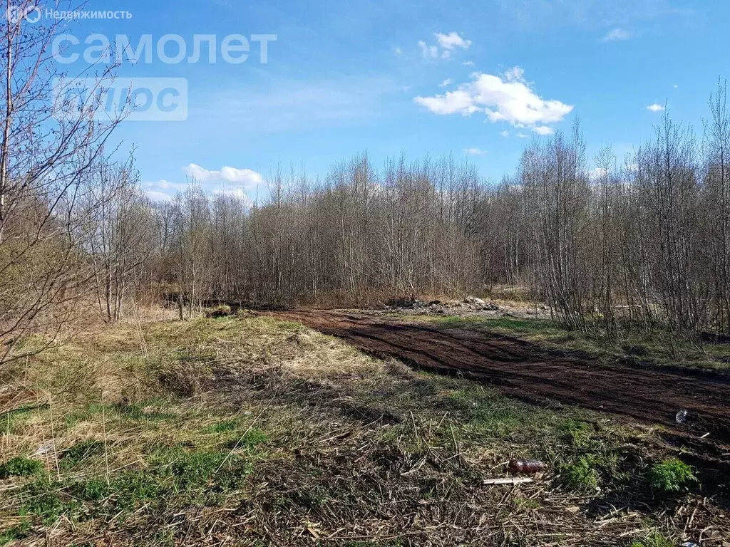 Участок в Архангельск, микрорайон Маймаксанский лесной порт (10 м) - Фото 1