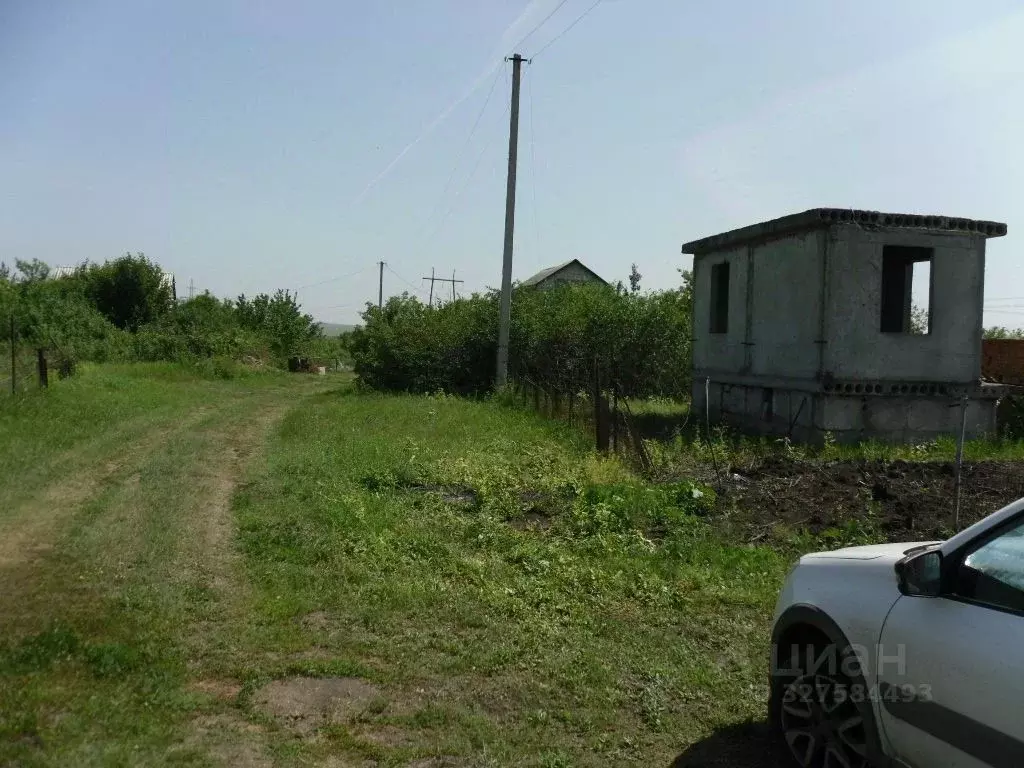 Участок в Саратовская область, Калининский район, Озерское ... - Фото 1