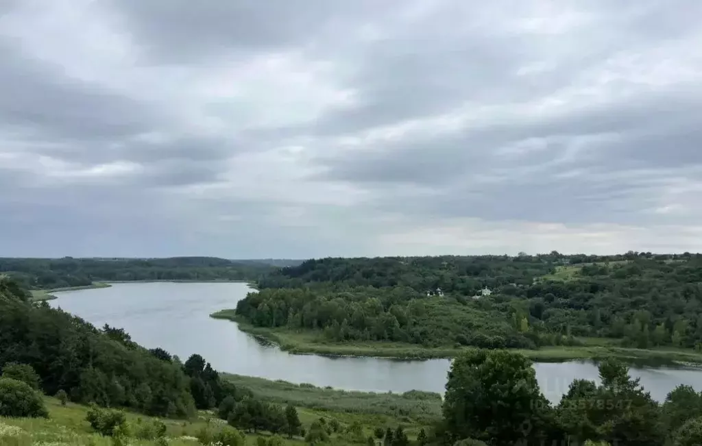 Участок в Псковская область, Печорский муниципальный округ, д. Малы  ... - Фото 2