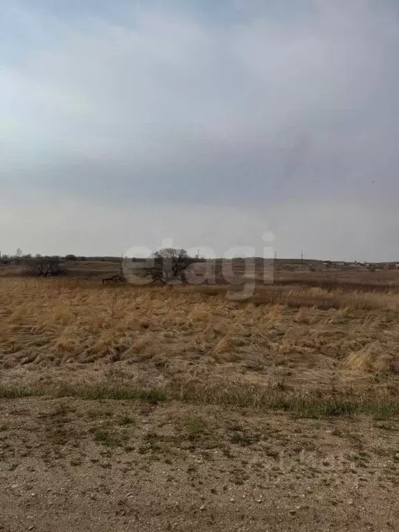 Участок в Амурская область, Благовещенский район, с. Новотроицкое  ... - Фото 1