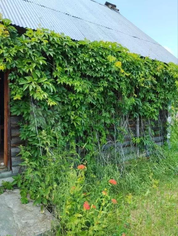 Дом в Тюменская область, Тюмень городской округ, Сосновая Поляна СНТ  ... - Фото 0
