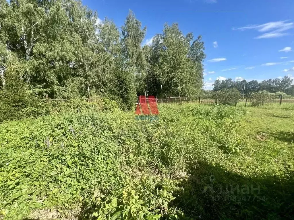 Участок в Московская область, Пушкинский городской округ, д. Талицы 97 ... - Фото 0